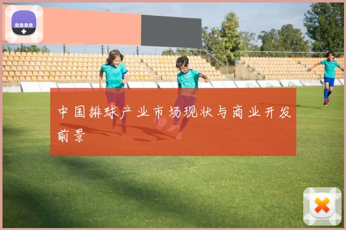 中国排球产业市场现状与商业开发前景
